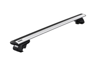 Raised Rail Evo Online